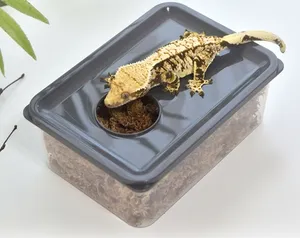 레파즈 습식은신처 대