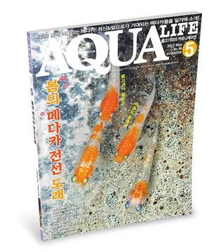 아쿠아라이프(AQUA LIFE) 17년 5월호