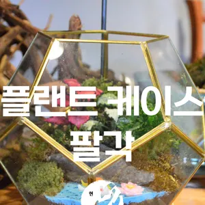 팔각 플랜트 케이스 (우리 화분), (테라리움),(인테리어 소품)