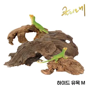 하이드 유목(M)30~40cm