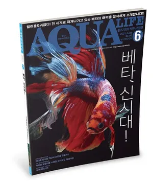 아쿠아라이프(AQUA LIFE) 21년 6월호