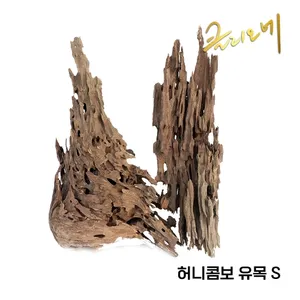 허니콤보 유목(S)20~30cm
