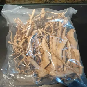 잔가지 유목 [1봉지]500g 중 유목활착 가지유목 10~20cm