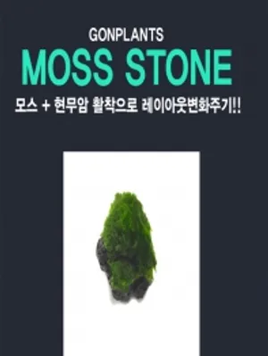 현무암 모스활착스톤(소) Size 2cm-4cm 1개(모스볼 음성수초 초보수초 이끼)