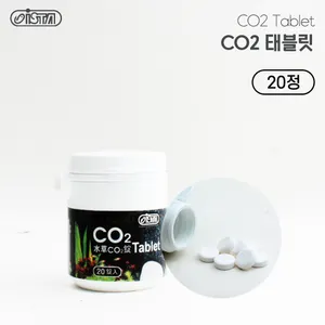 이스타 CO2 태블릿 (20정)