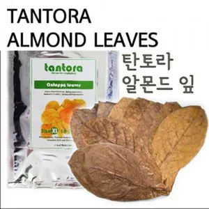 탄도라 알몬드잎 M 수질안정 면역력강화 새우 Tantora