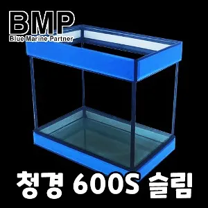 BMP 피시박스 청경 600S 유리 어항 수조 60x20x35cm