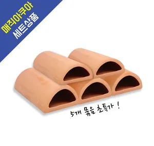 안시 산란상 5개 세트