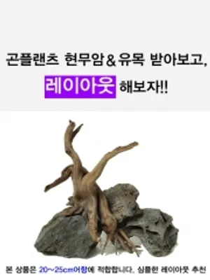 소형어항 현무암+유목 레이아웃 세트(20cm-25cm어항 적합)