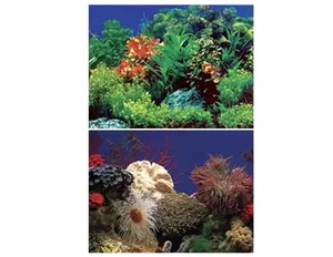 PENN PLAX 양면 백스크린 [DB5] [가로 30cm*세로 48cm]