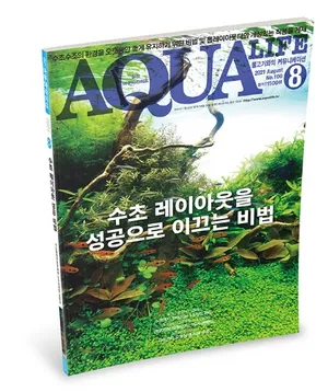 아쿠아라이프(AQUA LIFE) 21년 8월호