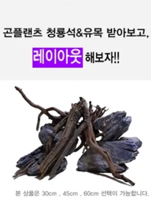 45cm어항 청룡석&유목 레이아웃세트 / 수족관 어항 수조 장식품 테라리움 파충류 장식 구피어항