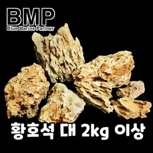 BMP 수조 레이아웃 황호석 대 2kg 이상 (사이즈 랜덤)