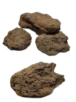 납작 현무암(한정수량) 1개 (화산석 제주석 수초활착 테라리움)