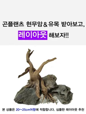 현무암&유목 레이아웃세트 소형어항30cm 45cm 60cm 90cm