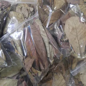 알몬드잎 50g