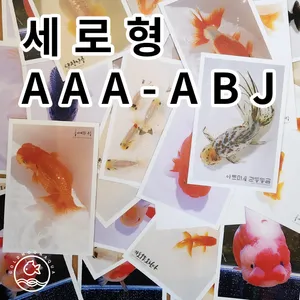 그 날의, 물고기 엽서 세로형 [AAA~ABJ]
