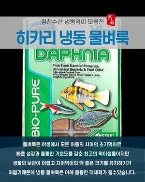 히카리 냉동 물벼룩 1팩, 치어먹이 1티어!