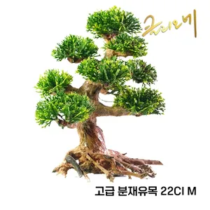 분재유목 22CI(M) 30x23x13/낱개