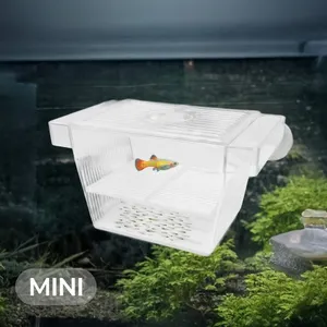 아마존 부화통 미니