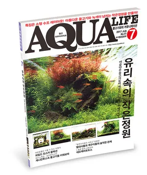 아쿠아라이프(AQUA LIFE) 17년 7월호
