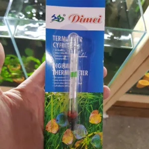 디메이 온도계