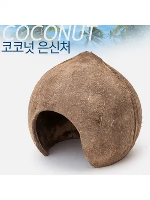 고급코코넛 은신처 1개(산란상 안시 구피 새우놀이터 비파)