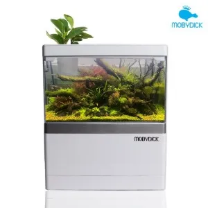 모비딕 M-175 모모 탱크 미니 섬프 어항