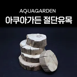 아쿠아가든 모스 수초 활착용 23mm 절단 유목 B타입 S L