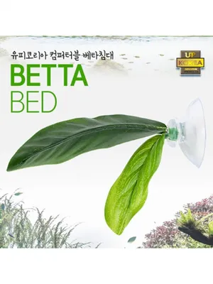 안락한 베타침대 1개 베타쉼터