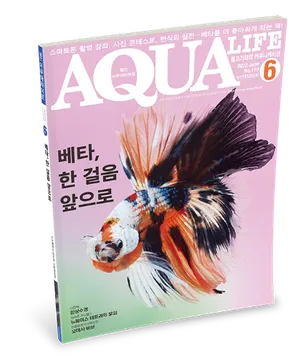 아쿠아라이프(AQUA LIFE) 22년 6월호