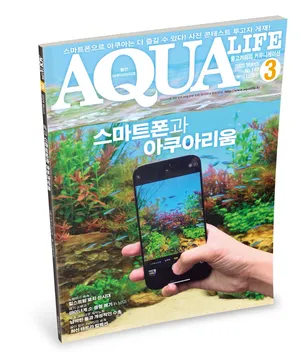 2025년 3월호 : 스마트폰과 아쿠아리움
