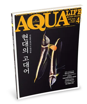 2025년 4월호 : 현대의 고대어