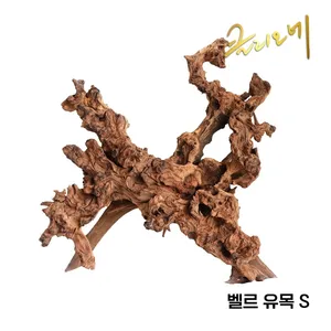 벨르 유목(S)15~25cm