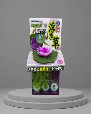 수련산란상