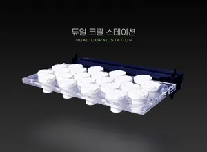 [CS] 씨위드 듀얼 코랄 스테이션 (자석식 프랙거치대)
