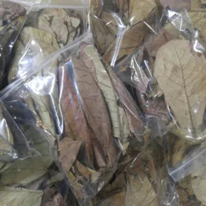 알몬드잎 100g 벌크