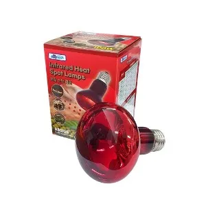 아마존 히팅 스팟 램프 100W (R80100)-거북이/주,야행성 파충류 램프