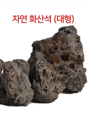 자연 화산석(현무암)제주석 대형 Size 19cm - 23cm랜덤크기(어항 정원 장식돌)