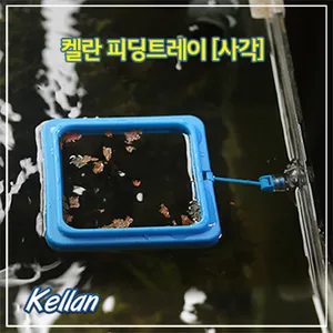 [M] 켈란 피딩트레이 (사각형)