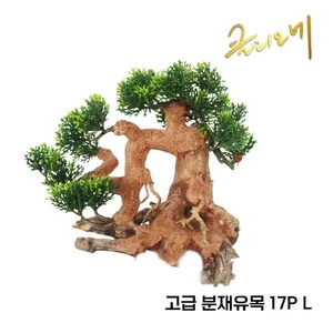 분재유목 17P(L) 40x30x15/낱개