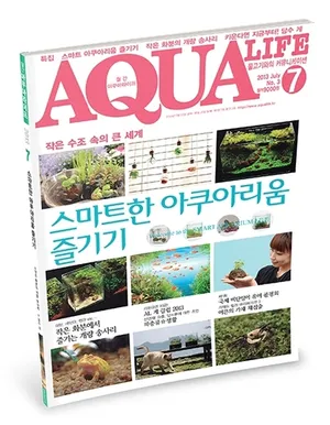 아쿠아라이프(AQUA LIFE) 13년 7월호