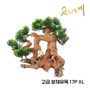 분재유목 17P(XL) 50x35x20/낱개