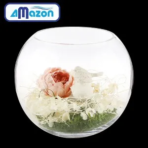 아마존 SHB1 투명 유리 볼 테라리움 어항 수반 28x25