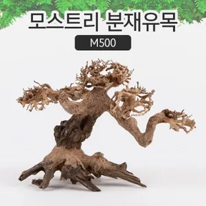모스트리 분재유목(S) M500 수초어항 레이아웃