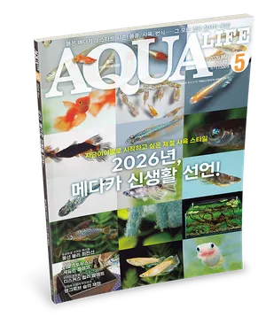 2026년 5월호 : 2026년 메다카 신생활 선언!