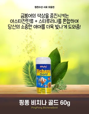 핑퐁 비치나 골드 60g 170g 250g