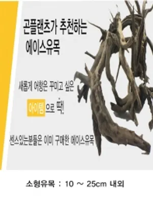 에이스 소형유목 5점 랜덤 (Size 10cm-25cm)