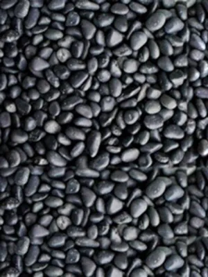 흑자갈 (3~5mm, 5~8mm, 1~1.5cm, 1.5~ 2cm ) 1포 어항 수족관 바닥재