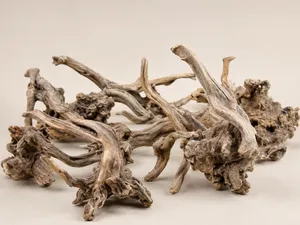 자연 가지유목 특대